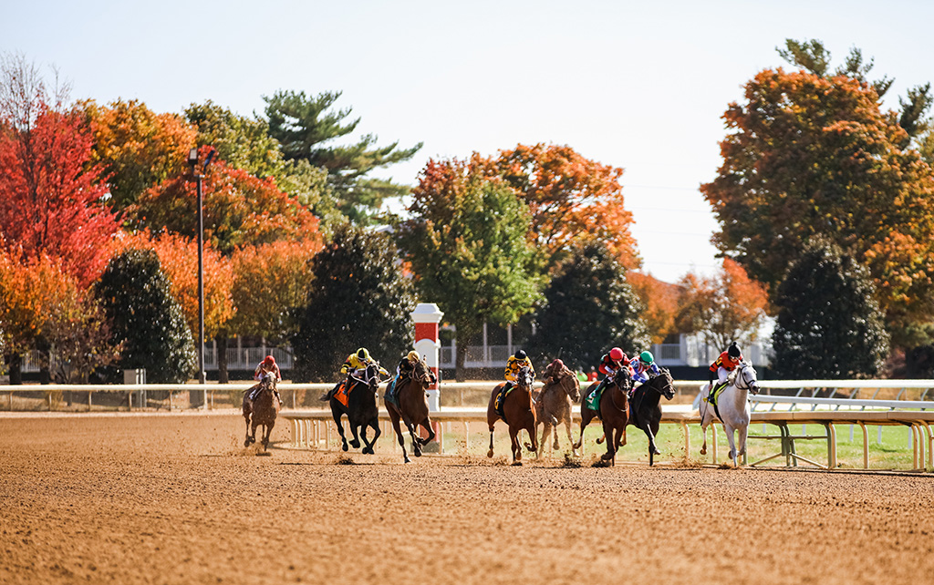 horses racing at track