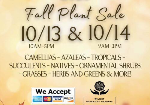 wilmot botanical gardens 2023 fall plant sale