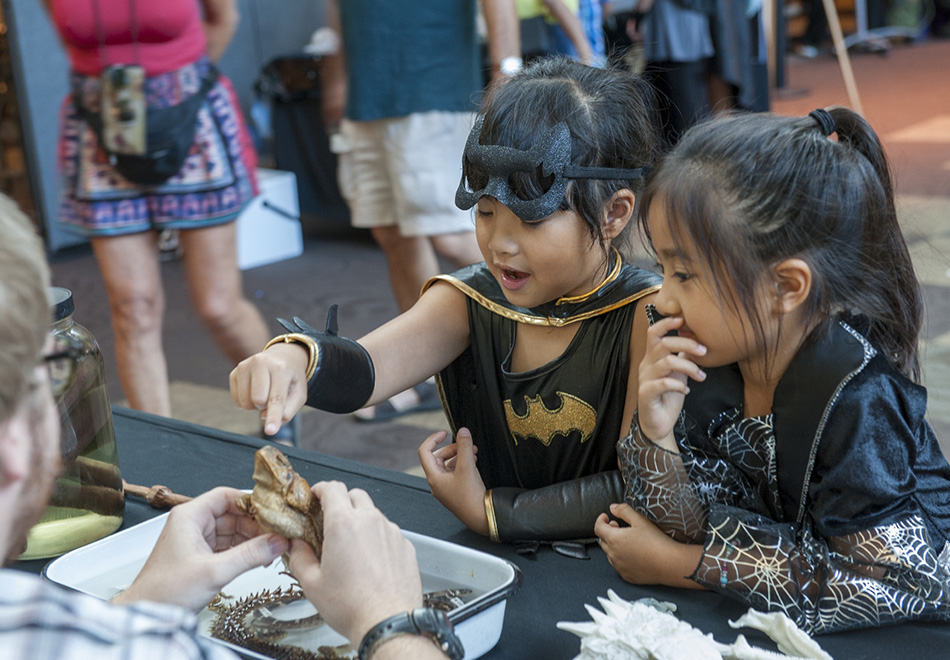 children at a desk in costume