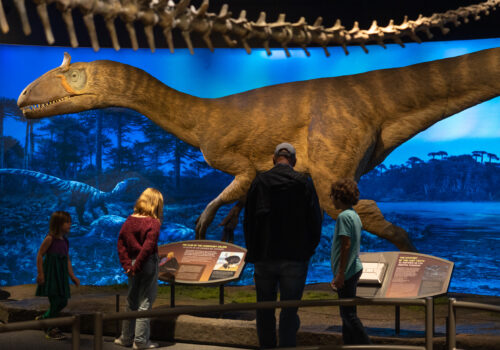 people looking at dinosaur model