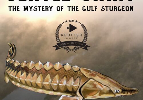 gentle giant movie poster