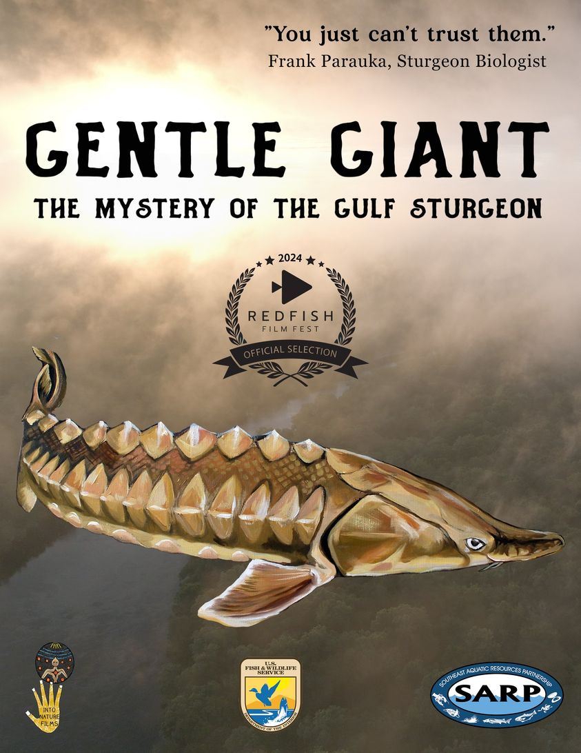 gentle giant movie poster