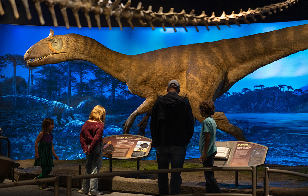 dinosaur display