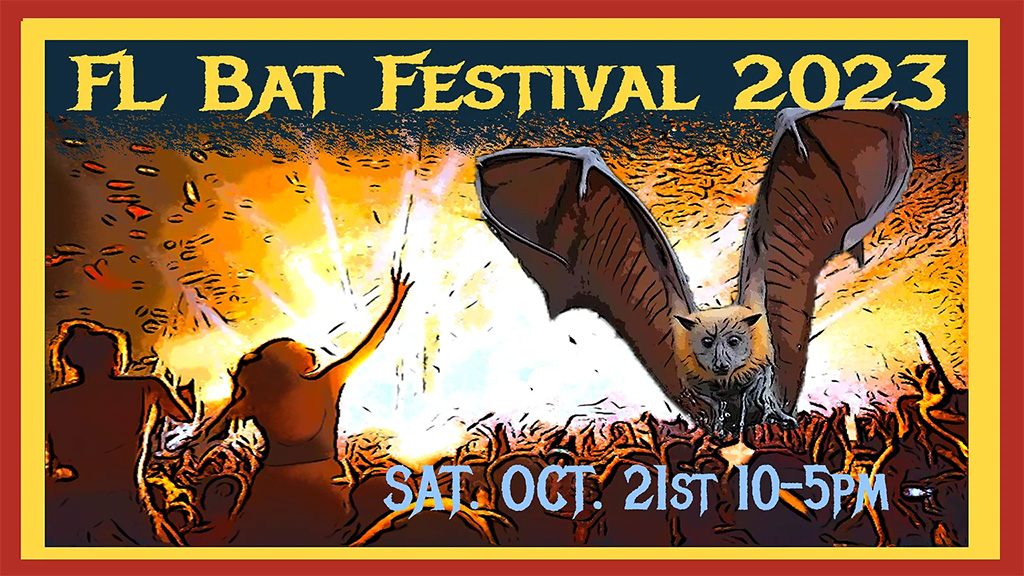 florida bat festival