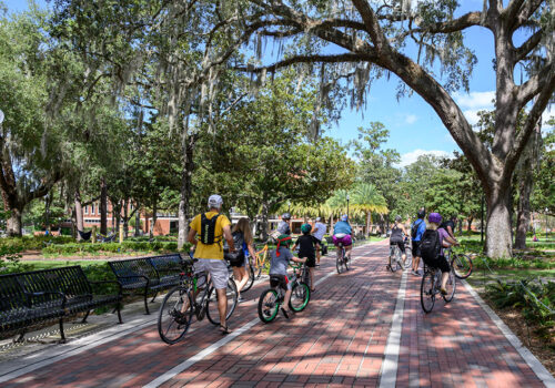 people on bikes