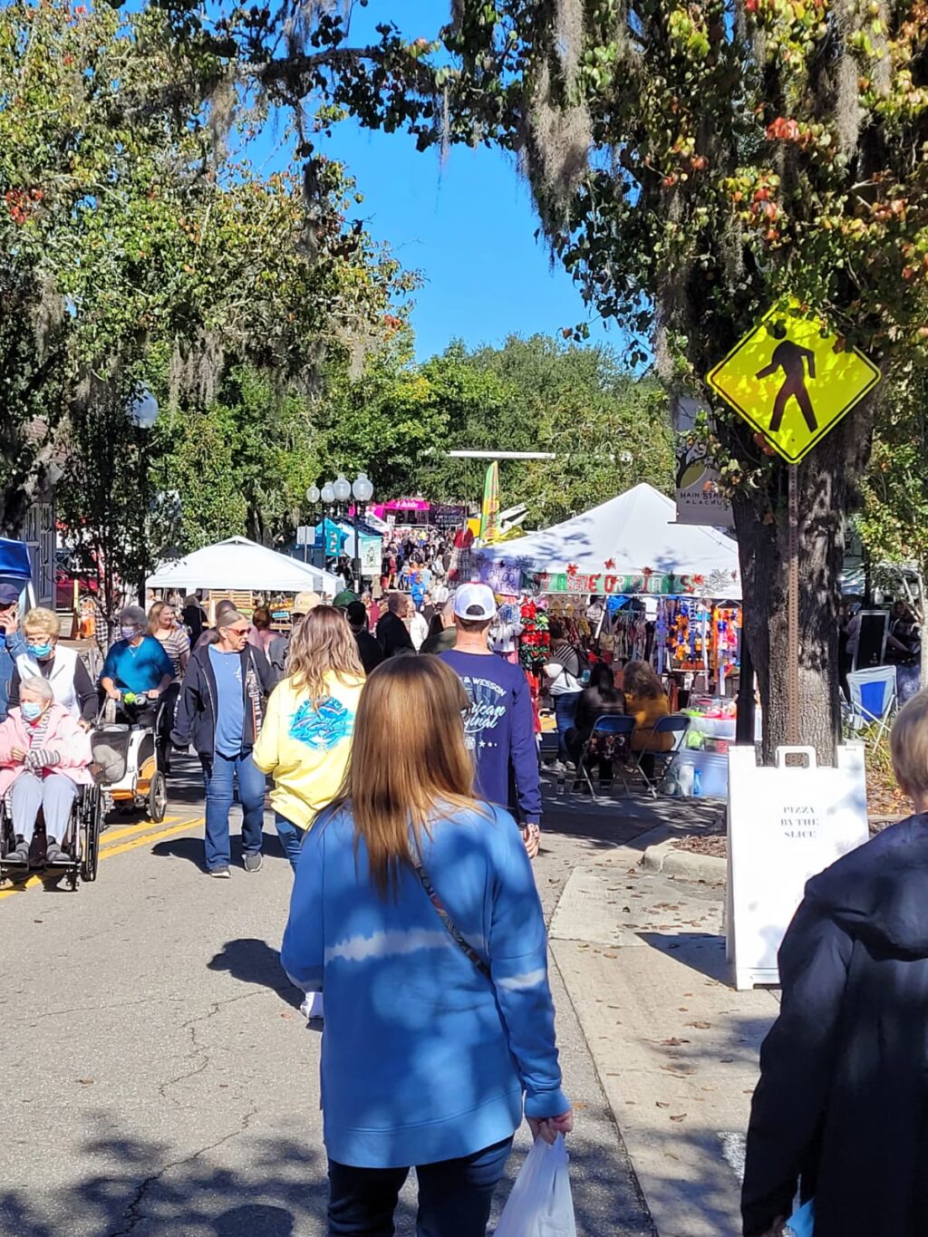 crowd at alachua main street festival