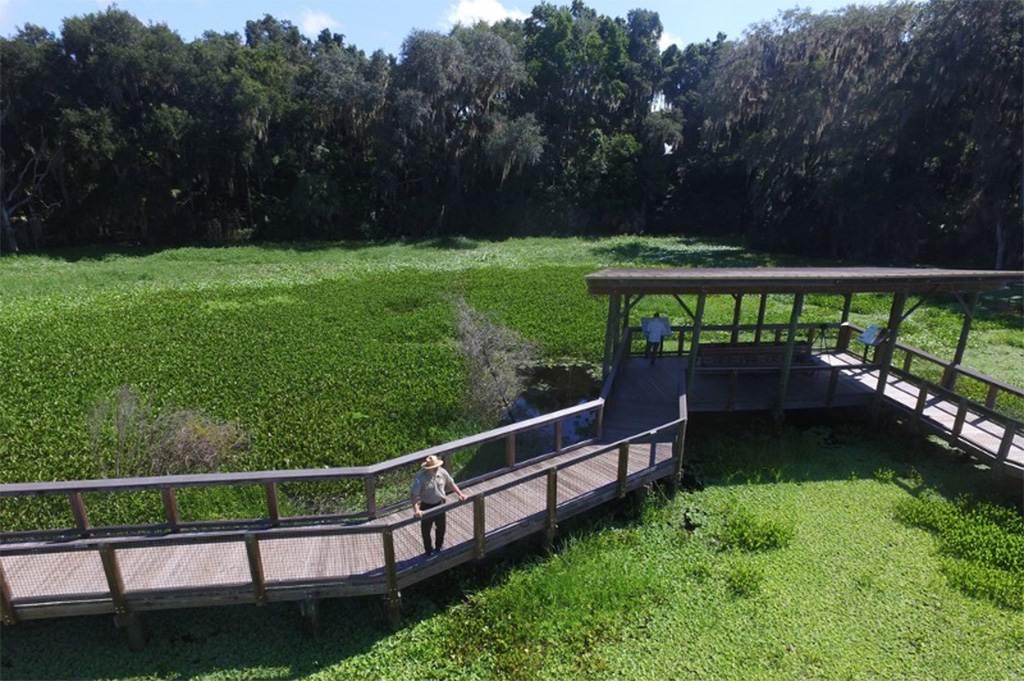 la chua trail boardwalk