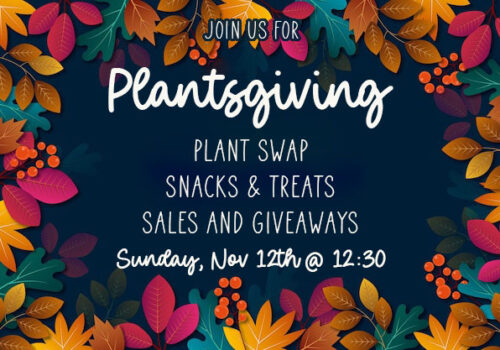 plantsgiving flyer