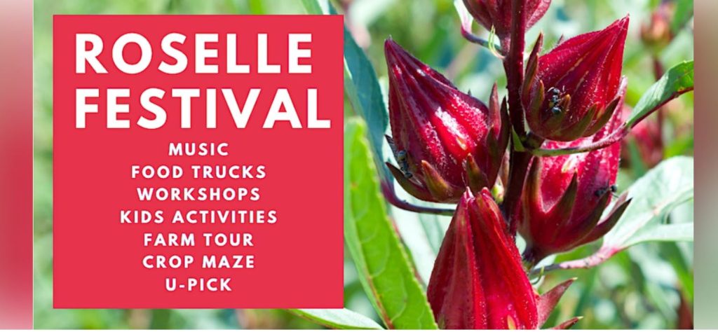 roselle festival