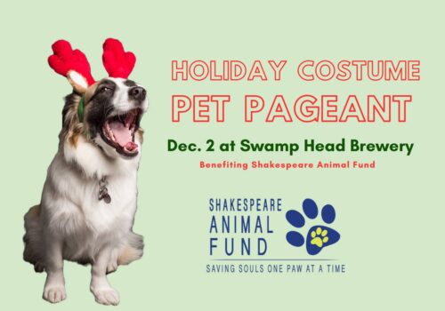 Holiday Costume Pet Pageant at Swamp Head December 2nd