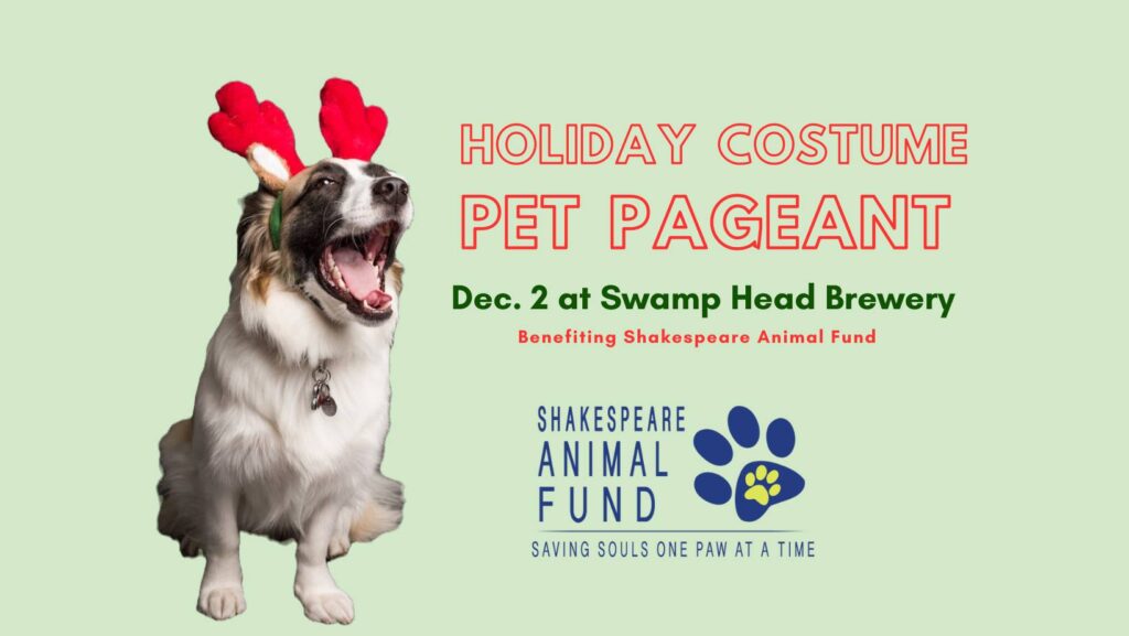 Holiday Costume Pet Pageant at Swamp Head December 2nd