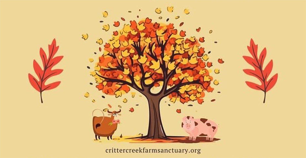 critter creek farm sanctuary