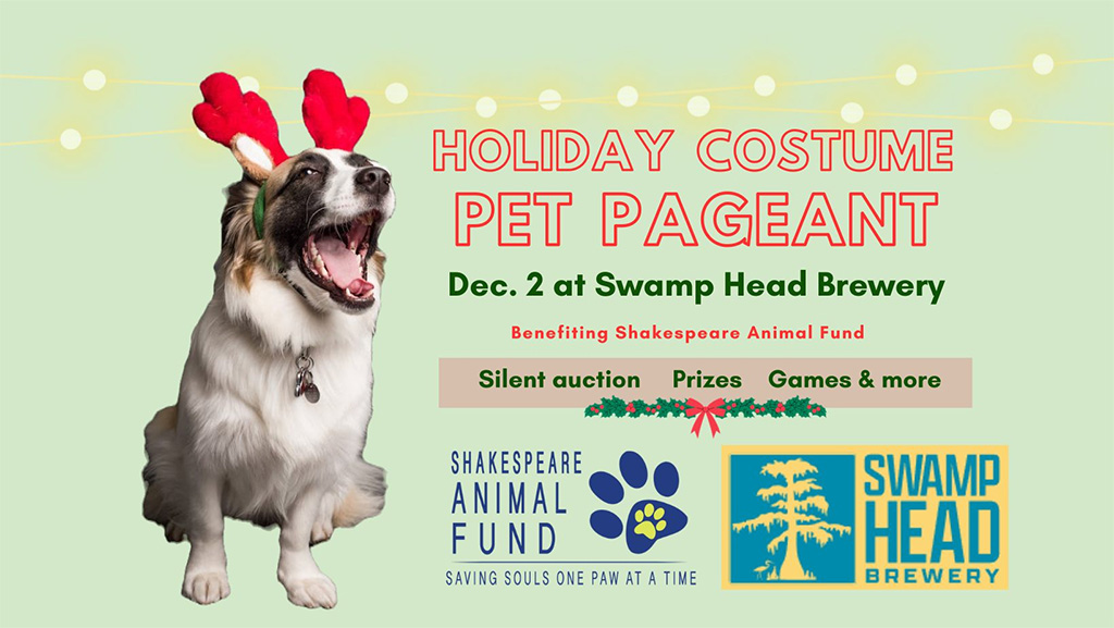 holiday pet pageant at swamp head