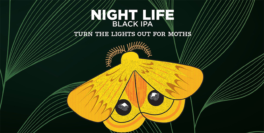night life black ipa illutrstion of moth
