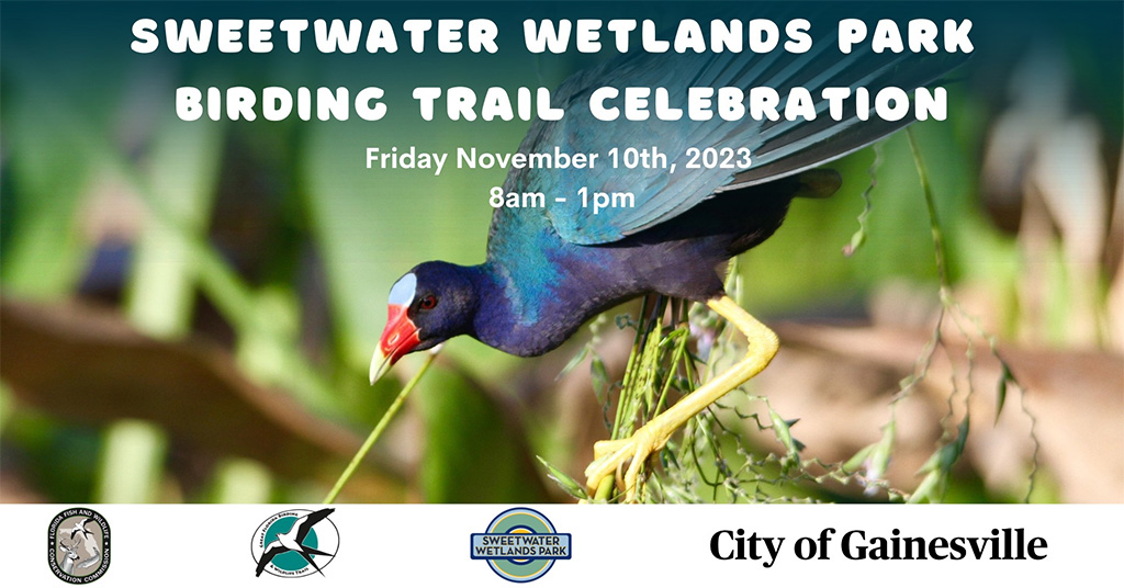 sweetwater wetlands park birding trail celebration