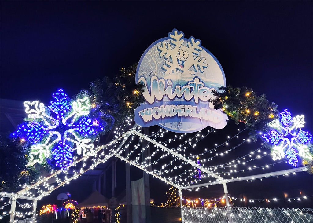 winter wonderland light display