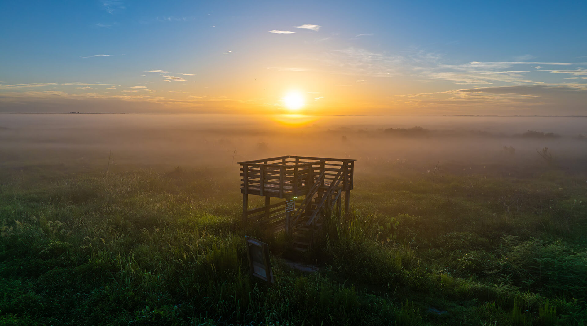 paynes prairie observation tower
