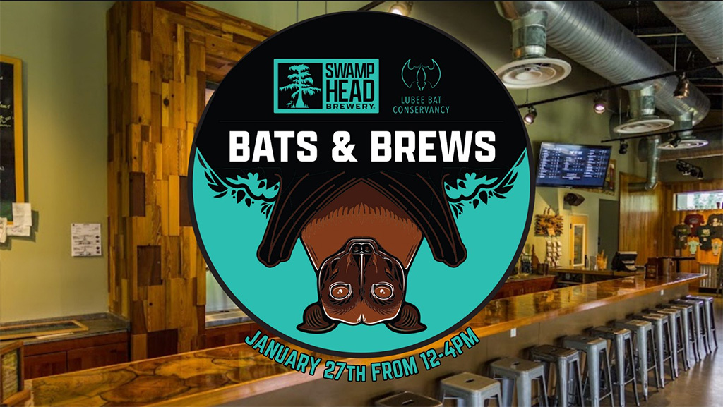 bats and brews