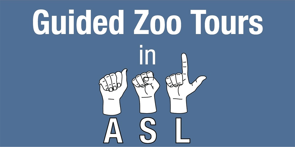 guided zoo tours in asl