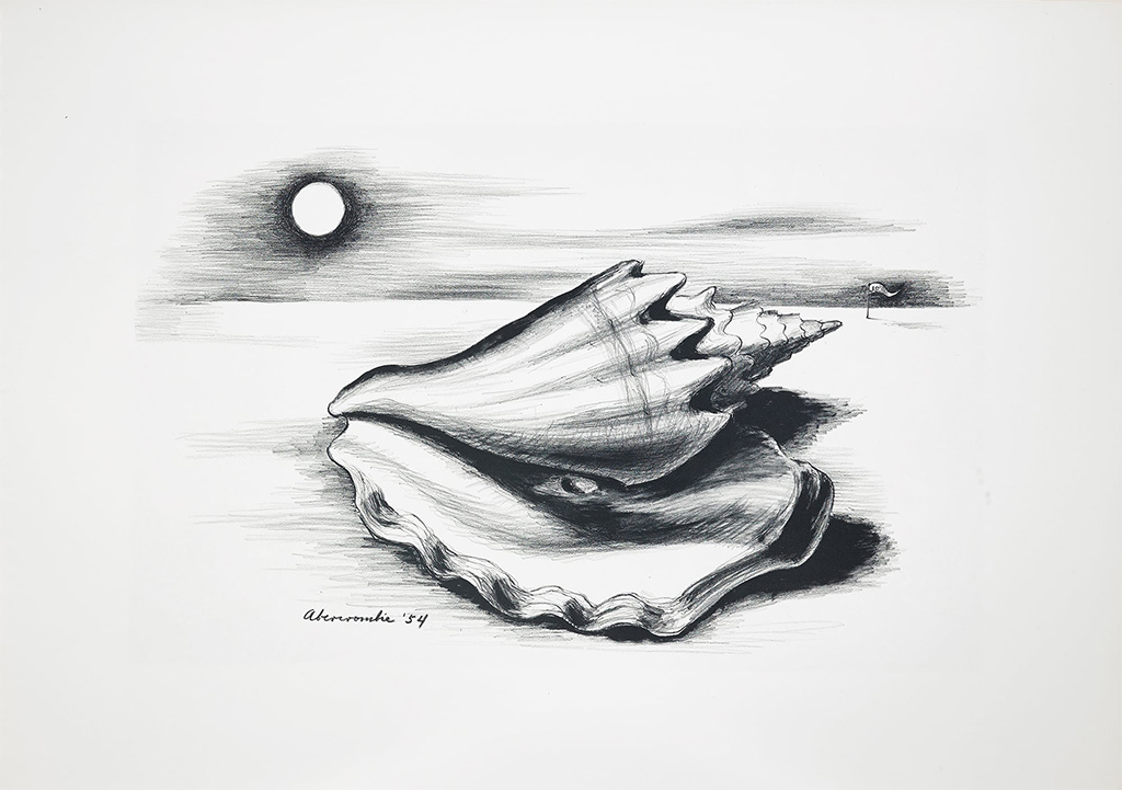 surrealist illustration of seashell