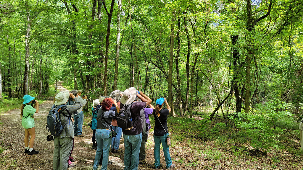hikers and birders on a trail