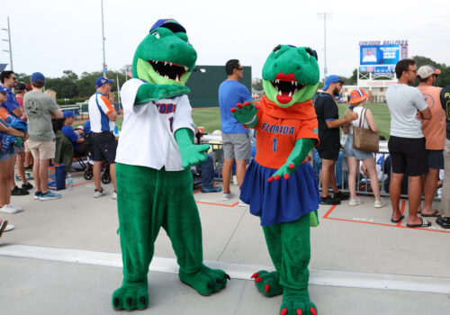 albert and alberta gator mascots at baseball game