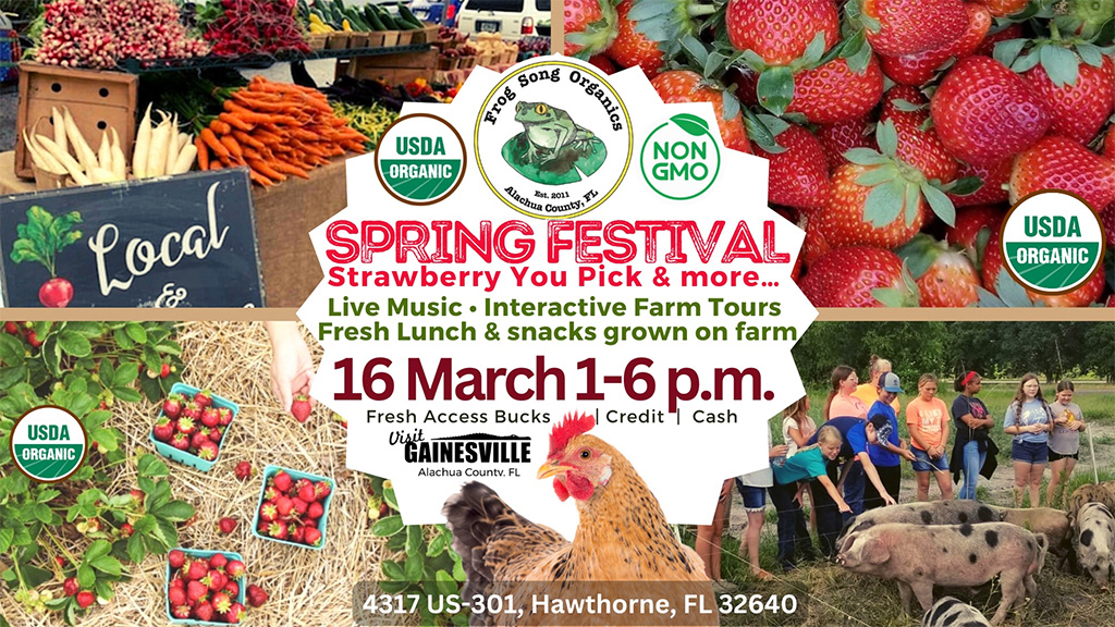 frog song organics spring festival