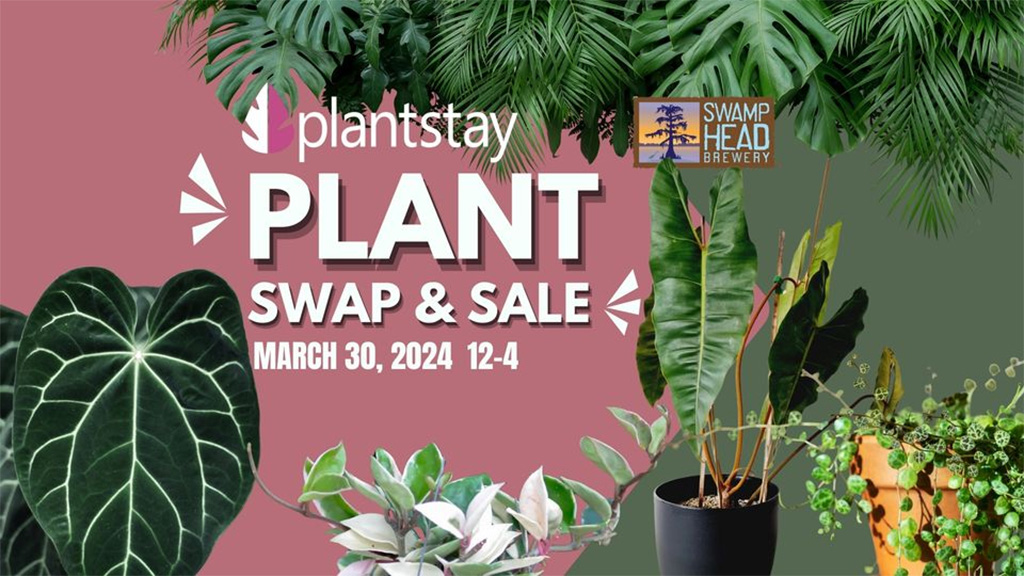 plantstay plant swap