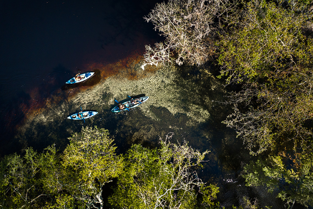 aerial photo of family kayaking into Poe Springs from the Santa Fe River