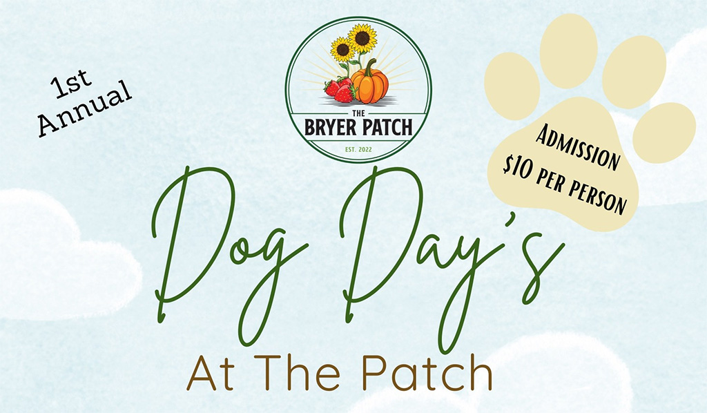 dog days at the bryer patch