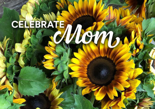 celebrate mom