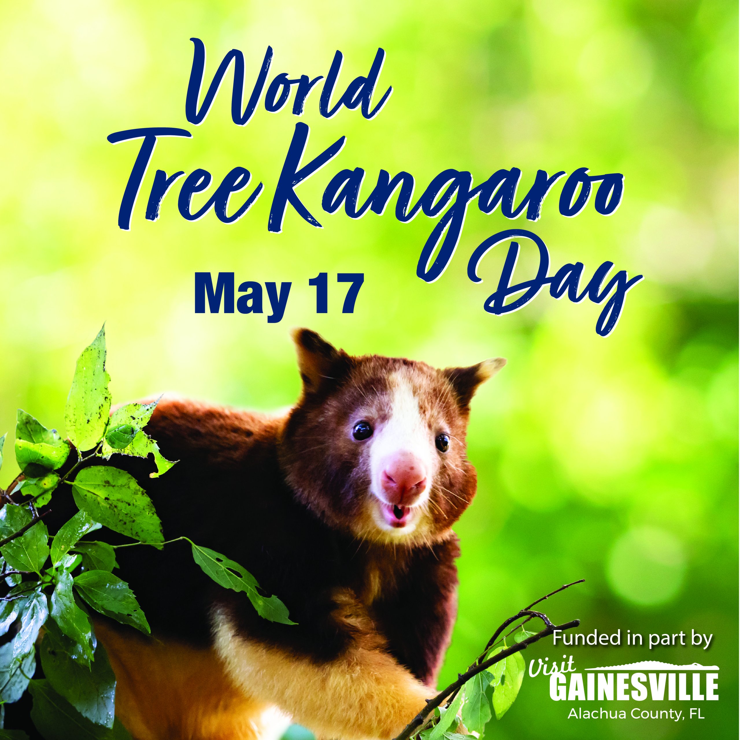 Kangaroo Day