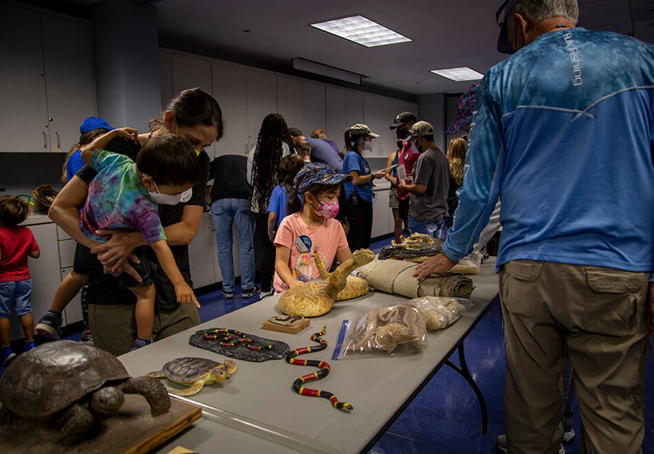 Families looking at reptile displays
