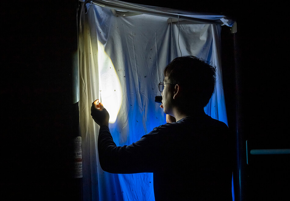 person holding a flashlight up to a hanging white sheet at night