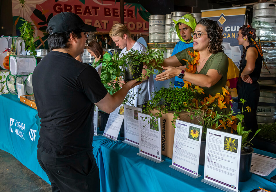 people at a table featuring pollinator friendly plants
