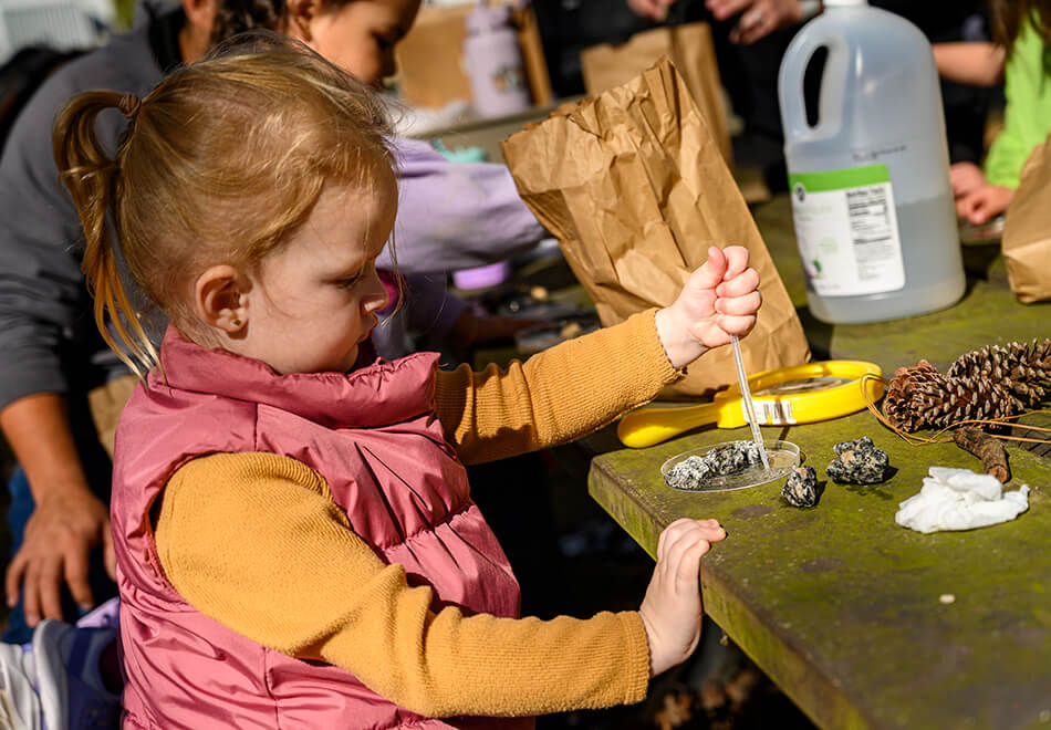 child engaging in a hands-on science activity