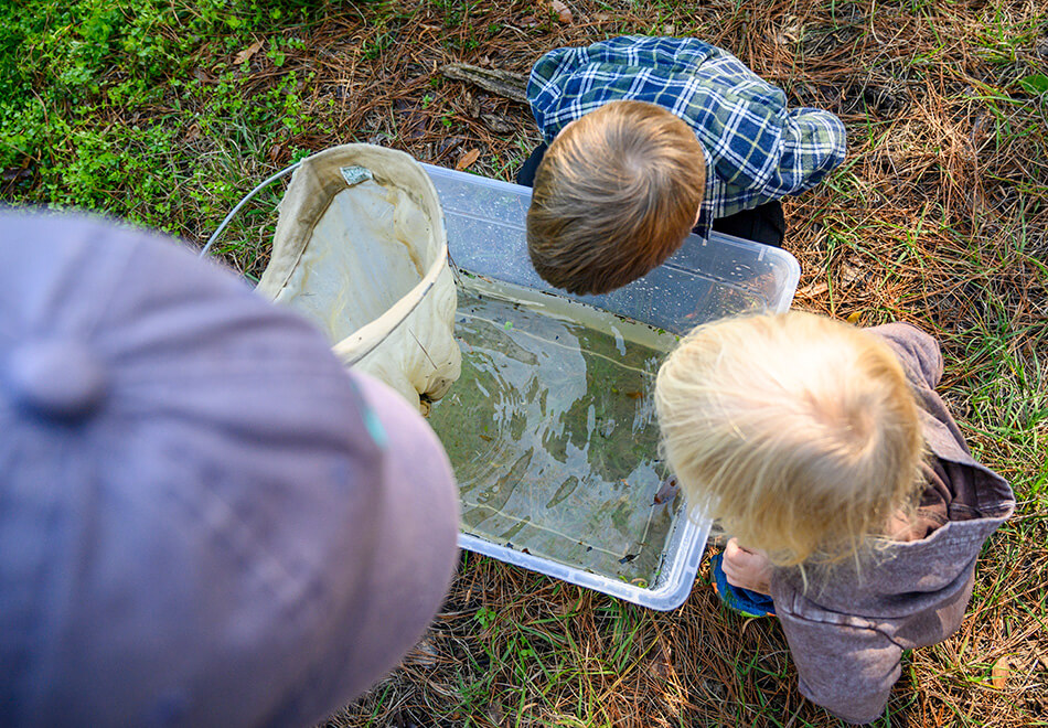 kids looking down into a tank of water