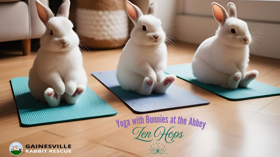 three bunnies on yoga mats
