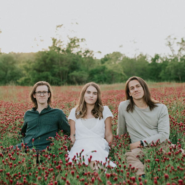 Musicans with instruments sitting in a field of flowers