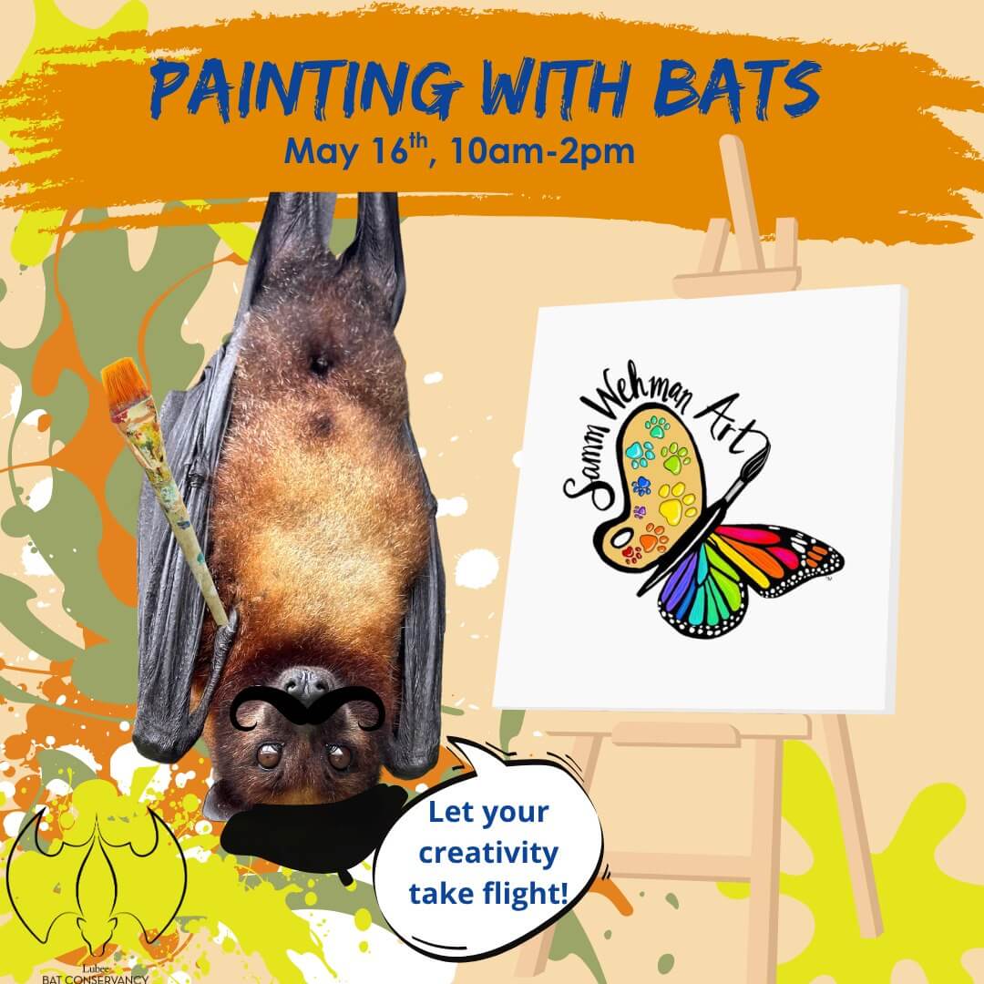 Painting with Bats Spring2026