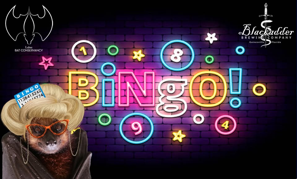 Poster for Blackadder Brewing – Batty Bingo