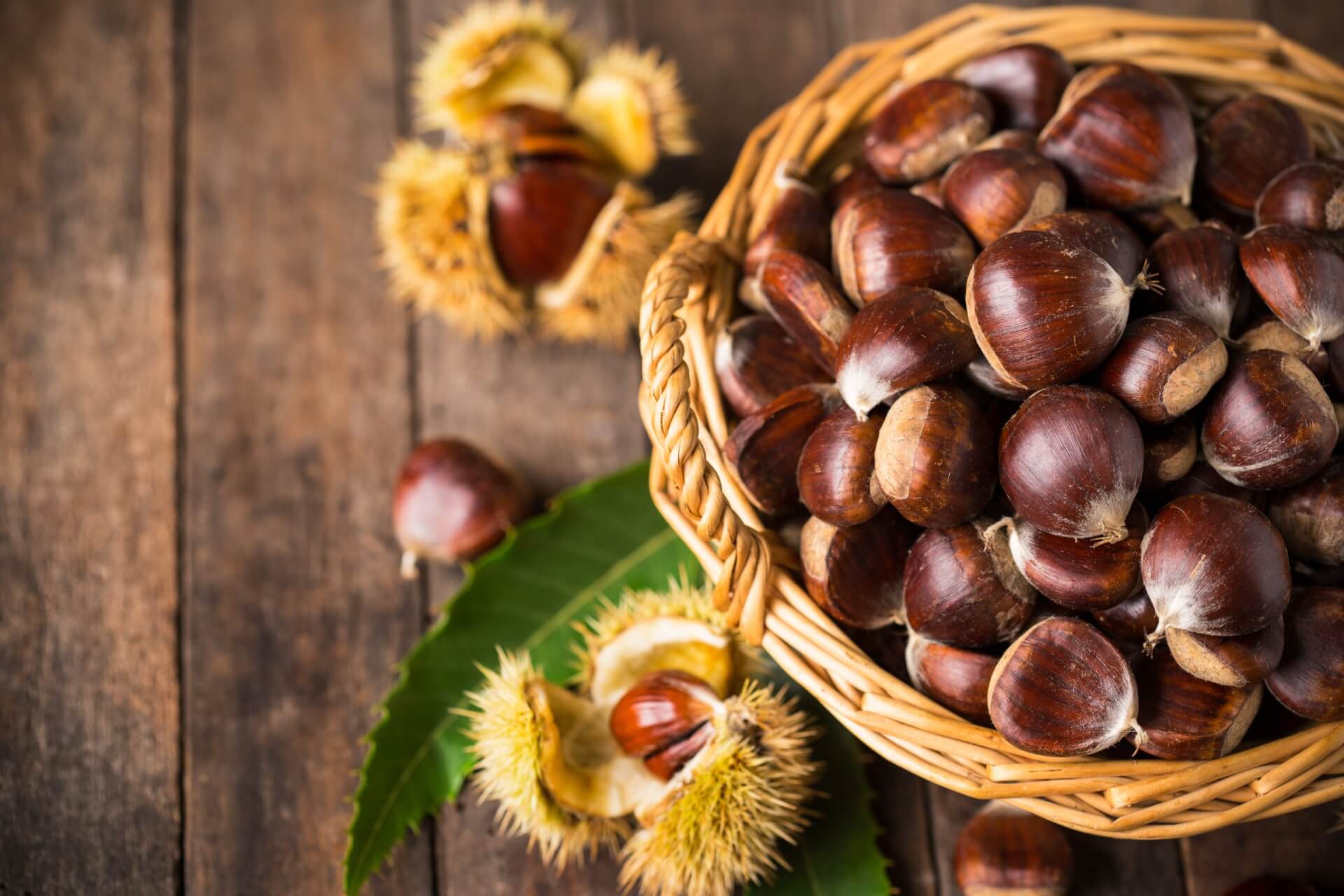 Poster for Full Harvest Moon Chestnut U-Pick