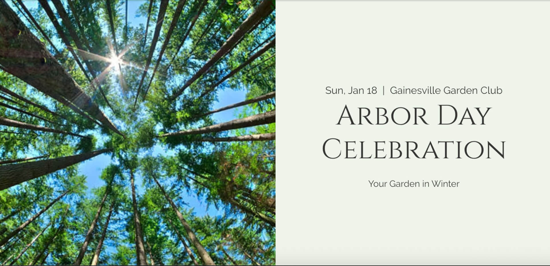 Your Garden Flyer for Arbor Day Gainesville Garden Club