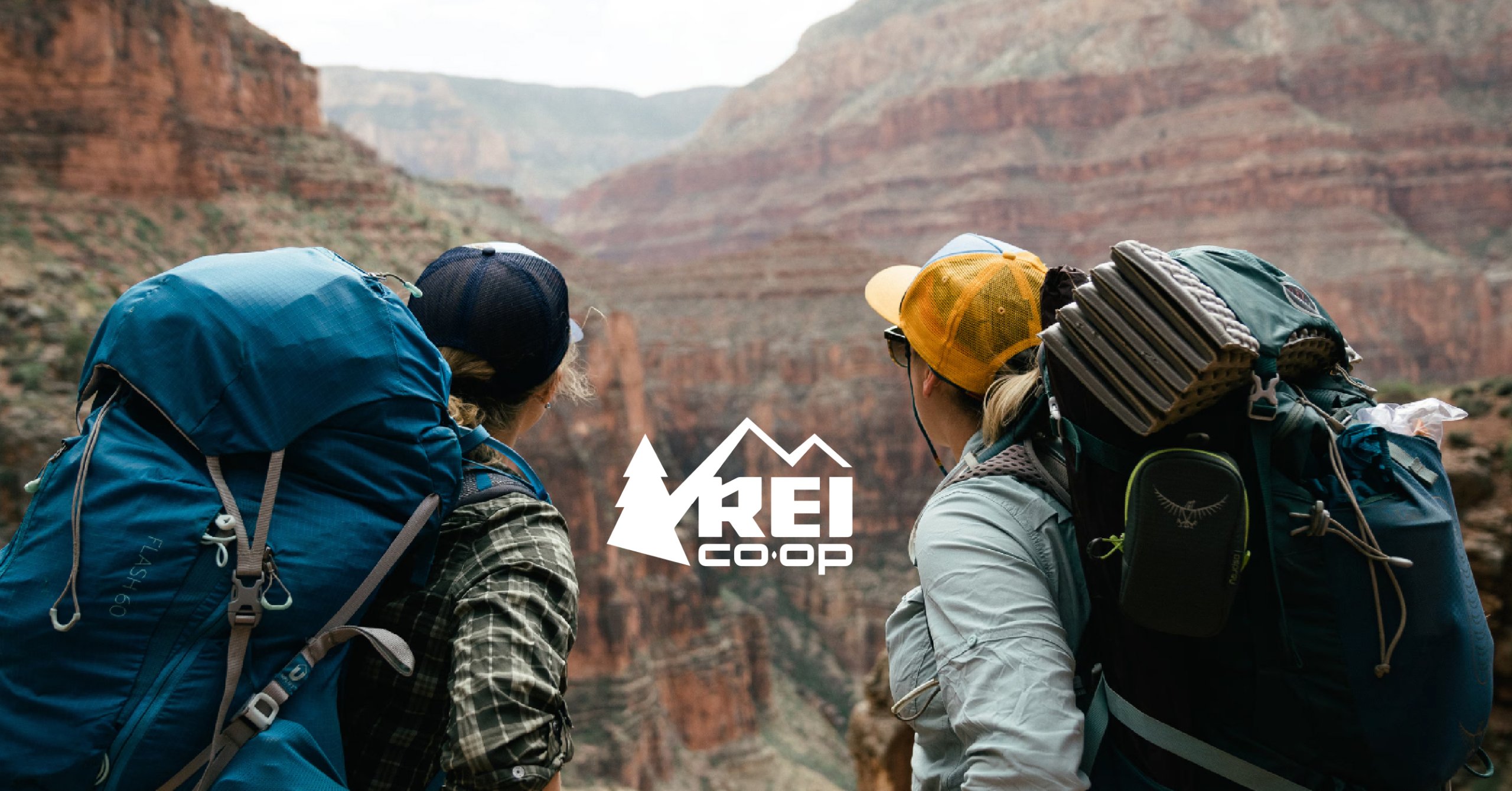two hikers equipped with backbacks looking into a canyon