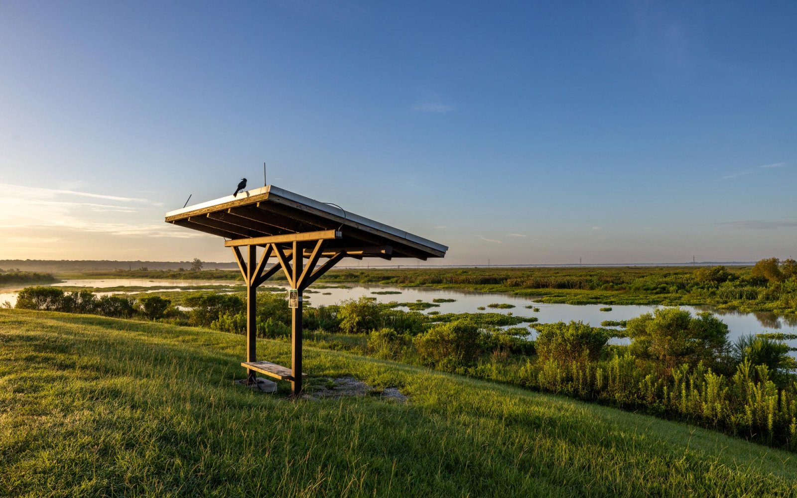 View of Birding Hot Spots - Visit Gainesville