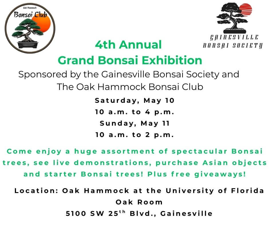 grand bonzai exhibition flyer