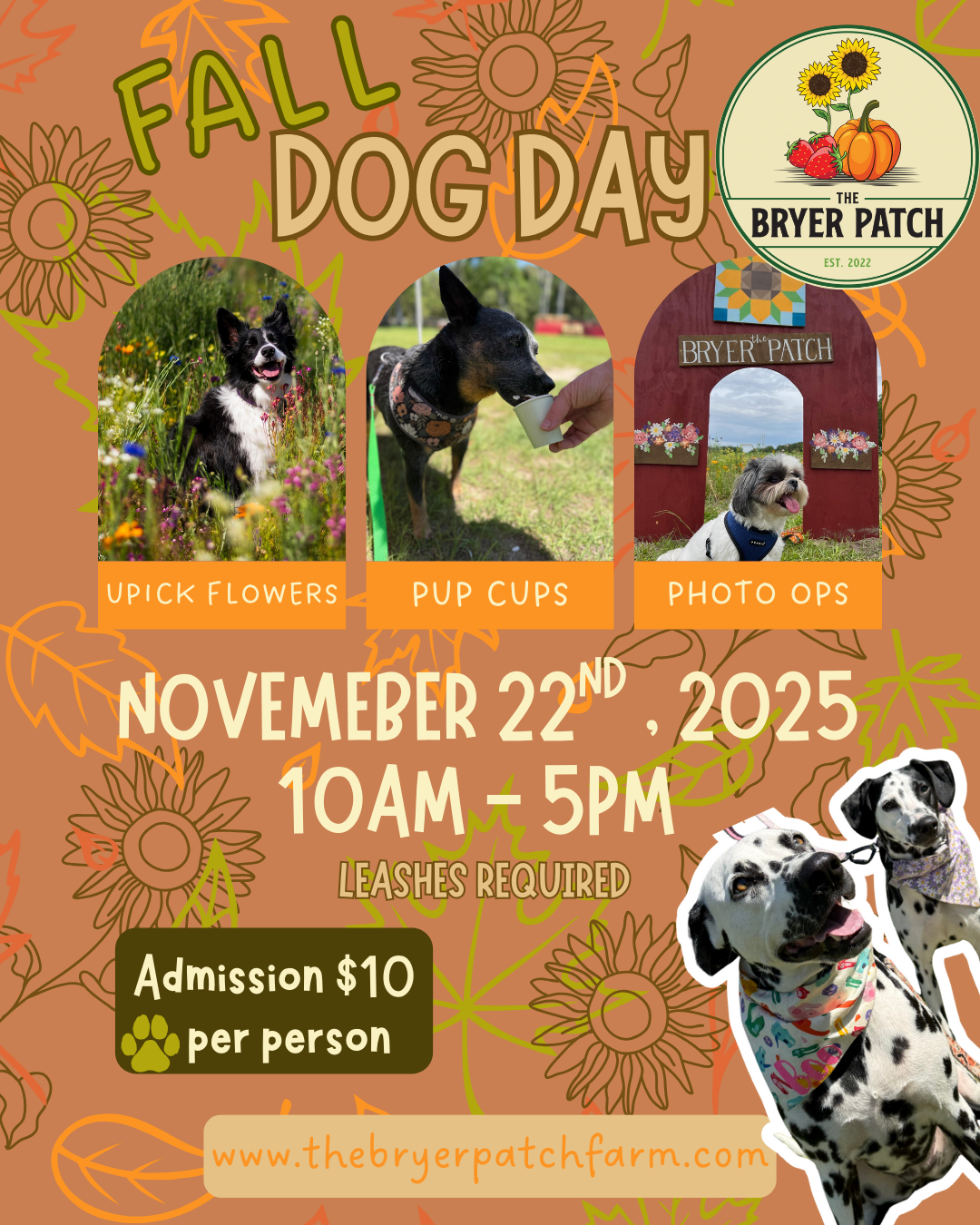 poster for dog day at the bryer patch