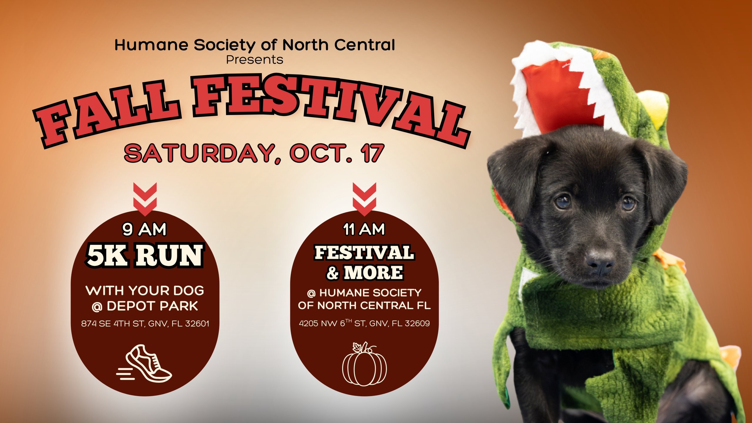 Fall Festival
