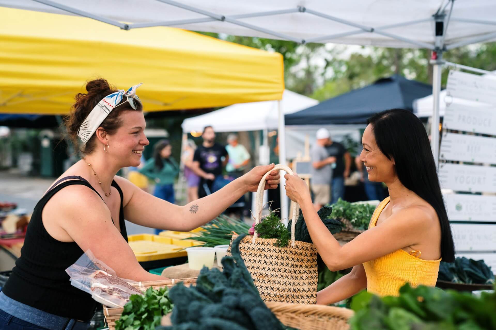 Farmers Markets in Gainesville & Alachua County Farmers Market Harvested Here