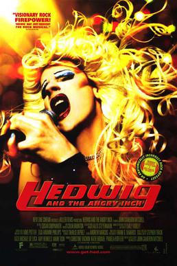 hedwig movie poster